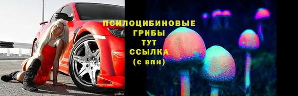 mdpv Карпинск
