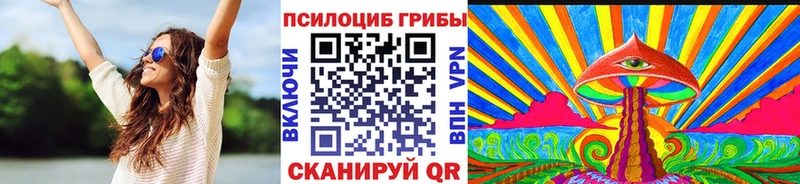 Галлюциногенные грибы Psilocybe площадка клад Райчихинск